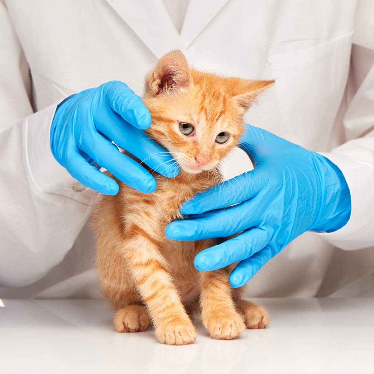 Latex-Free Blue Nitrile Exam G - Exam Glove Nitrile reseña y precio